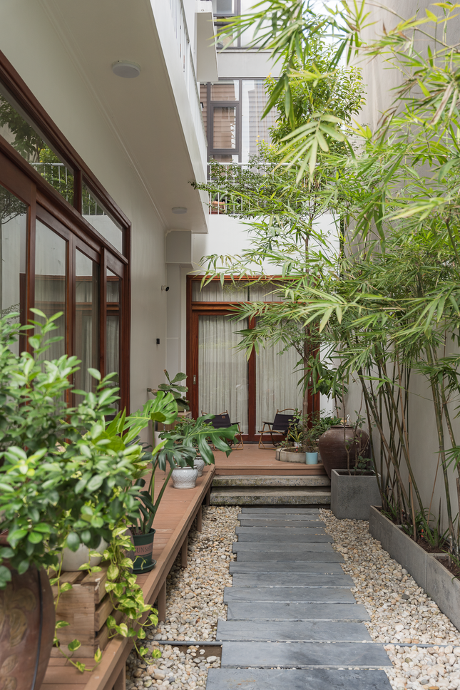 Cải tạo nh&agrave; ống th&agrave;nh nh&agrave; phố trồng c&uacute;c tần trước cổng d&agrave;nh cho 4 thế hệ - Ảnh 2.