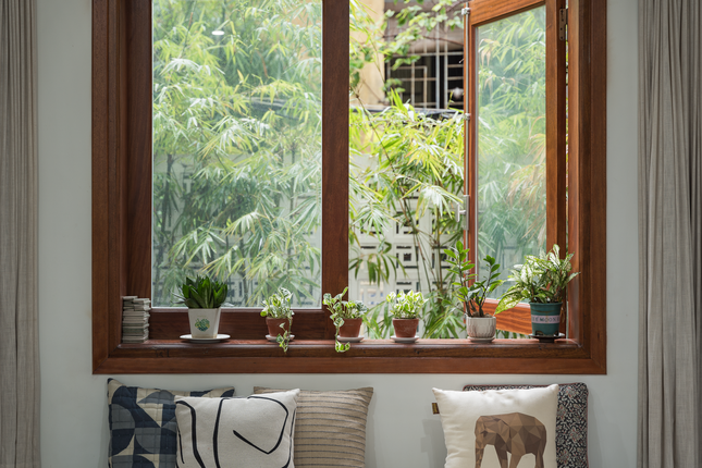 Cải tạo nh&agrave; ống th&agrave;nh nh&agrave; phố trồng c&uacute;c tần trước cổng d&agrave;nh cho 4 thế hệ - Ảnh 18.