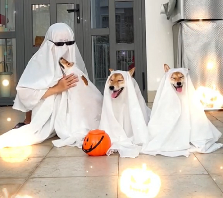 Những màn hoá trang Halloween lỗi khiến dân mạng khó nhịn cười - Ảnh 9.