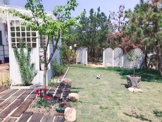 Bán nhà phố ra ngoại ô, người đàn ông thuê hơn 70.000m2 đất để an cư rồi “lên đời” nhờ mảnh vườn 2.000m2 - Ảnh 10.