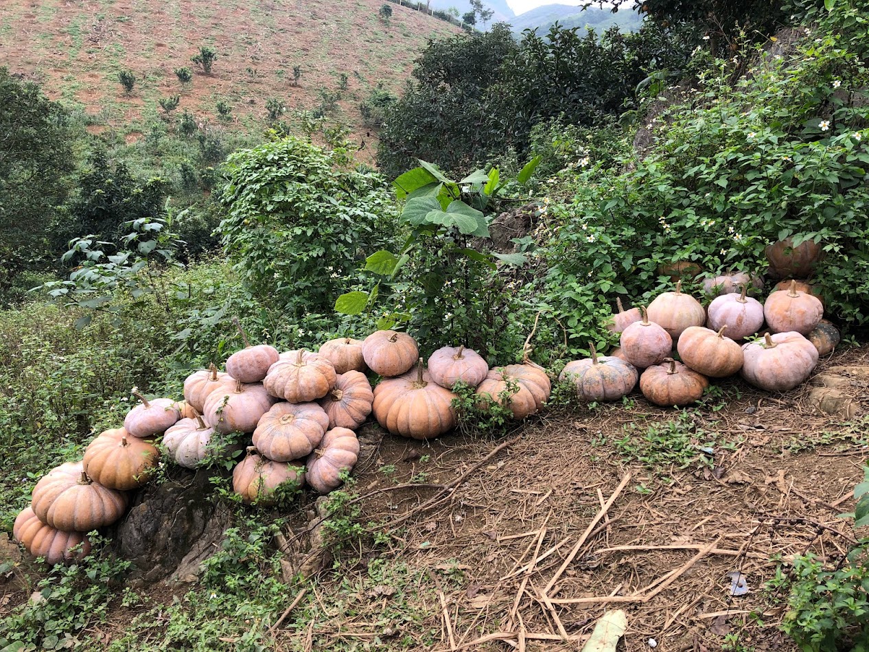 Nàng dâu khoe thùng quà mẹ chồng gửi hàng tháng, những món đồ khiến bao người ngưỡng mộ, ghen tỵ - Ảnh 7.