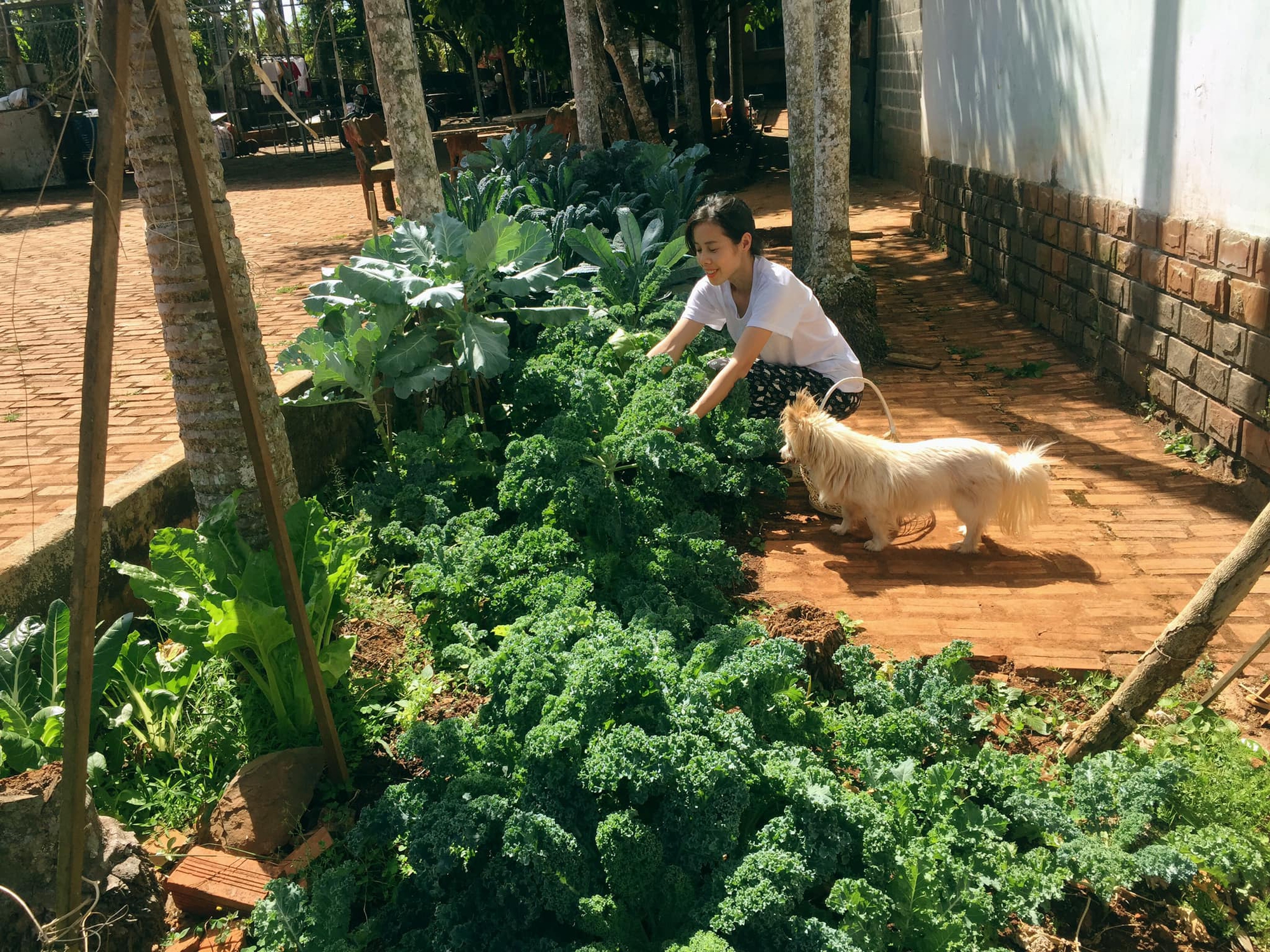 Đôi vợ chồng bỏ phố về quê, giải đáp thắc mắc của dân mạng: Tiền đâu để đi du lịch? - Ảnh 3.