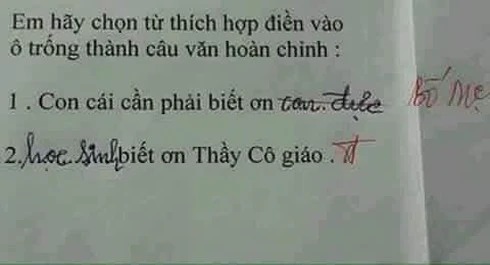 Học sinh đặt câu với từ phức khiến cô giáo tá hỏa: Mới chút tuổi mà đã triết lý thế này! - Ảnh 3.