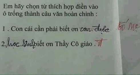 Học sinh đặt câu với từ phức khiến cô giáo tá hỏa: Mới chút tuổi mà đã triết lý thế này! - Ảnh 3.