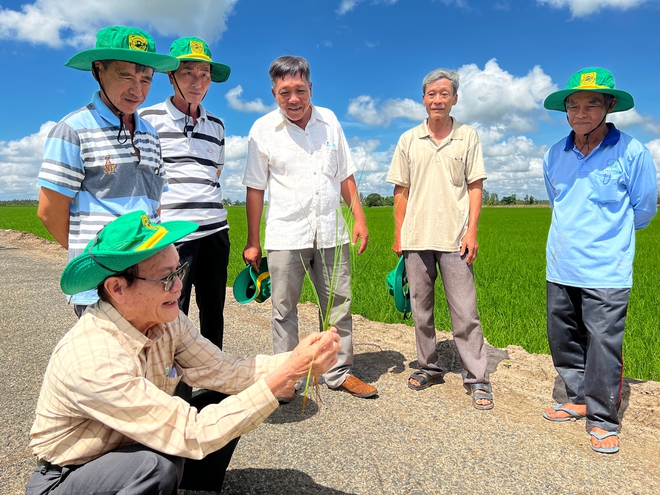 Doanh nghiệp ph&acirc;n b&oacute;n khuyến c&aacute;o n&ocirc;ng d&acirc;n b&oacute;n &iacute;t hơn v&agrave; c&acirc;u chuyện ph&aacute;t triển n&ocirc;ng nghiệp bền vững v&ugrave;ng Đồng bằng S&ocirc;ng Cửu Long - Ảnh 4.