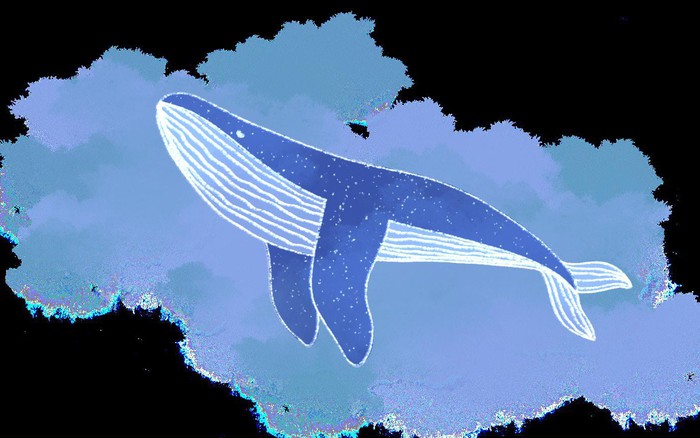 Tại sao cá voi xanh không bị ung thư?