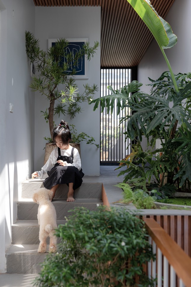 Chi&ecirc;m ngưỡng nh&agrave; ống 5 tầng d&agrave;nh cho nhiều thế hệ - Ảnh 15.