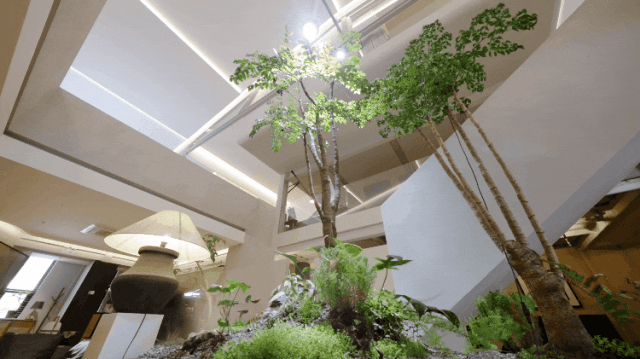 Chàng trai độc thân chi 10 tỷ đồng cải tạo nhà thuê 500m2: Tan làm chỉ muốn đi về nhà ngay - Ảnh 10.