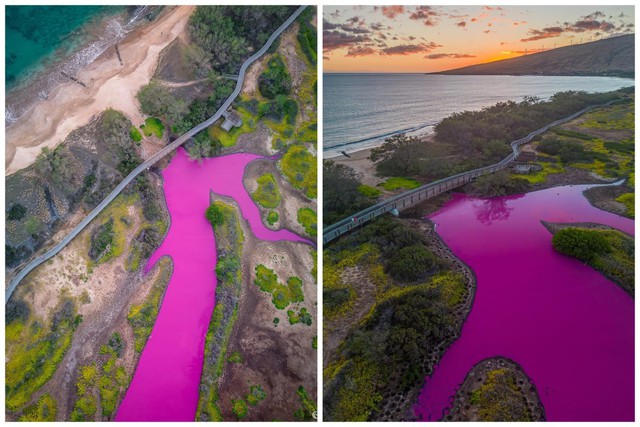Ao nước nổi tiếng ở Hawaii bỗng chuyển sang màu hồng, chuyên gia khẳng định: Nguy hiểm khó lường!