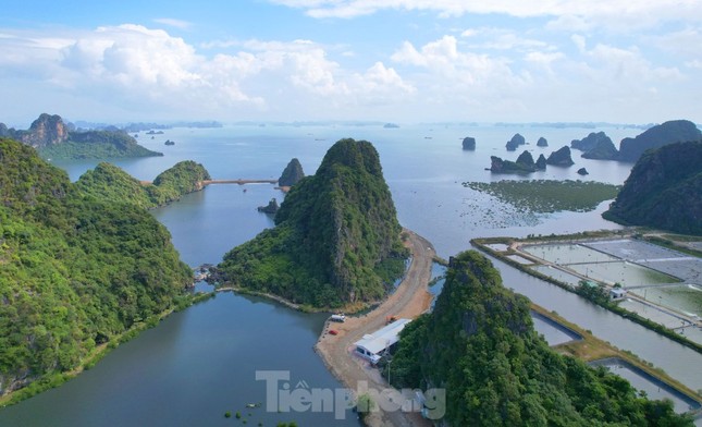 Cục trưởng Cục Di sản văn hóa lên tiếng vụ lấp vùng đệm vịnh Hạ Long làm biệt thự - Ảnh 2.