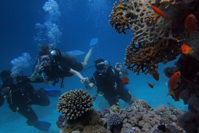 Ngắm rạn san hô lớn nhất thế giới vào mùa sinh sản - Ảnh 1.