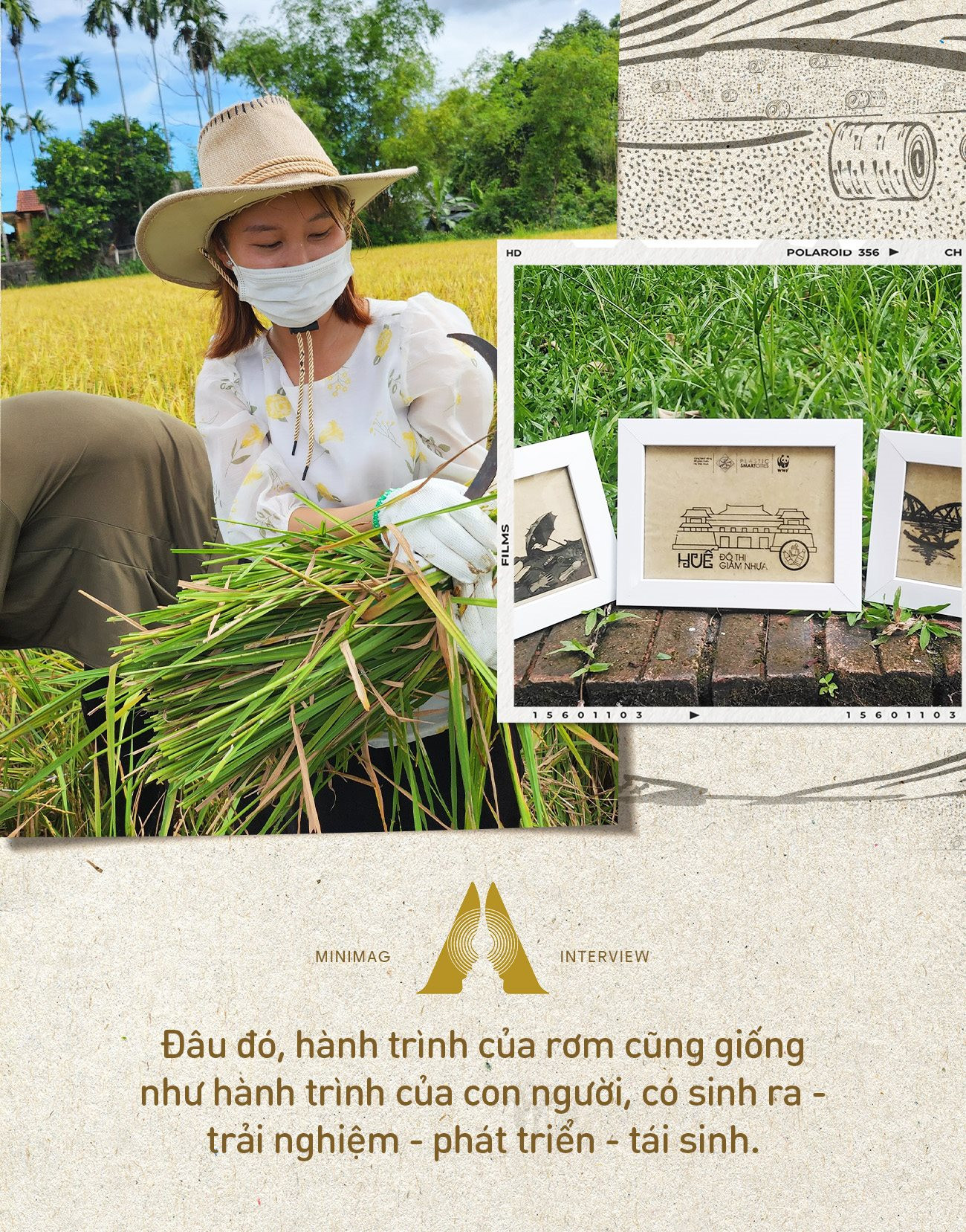 Chuyến đi của Rơm: Sinh ra từ cây lúa, lớn lên ở cánh đồng, làm phân ...