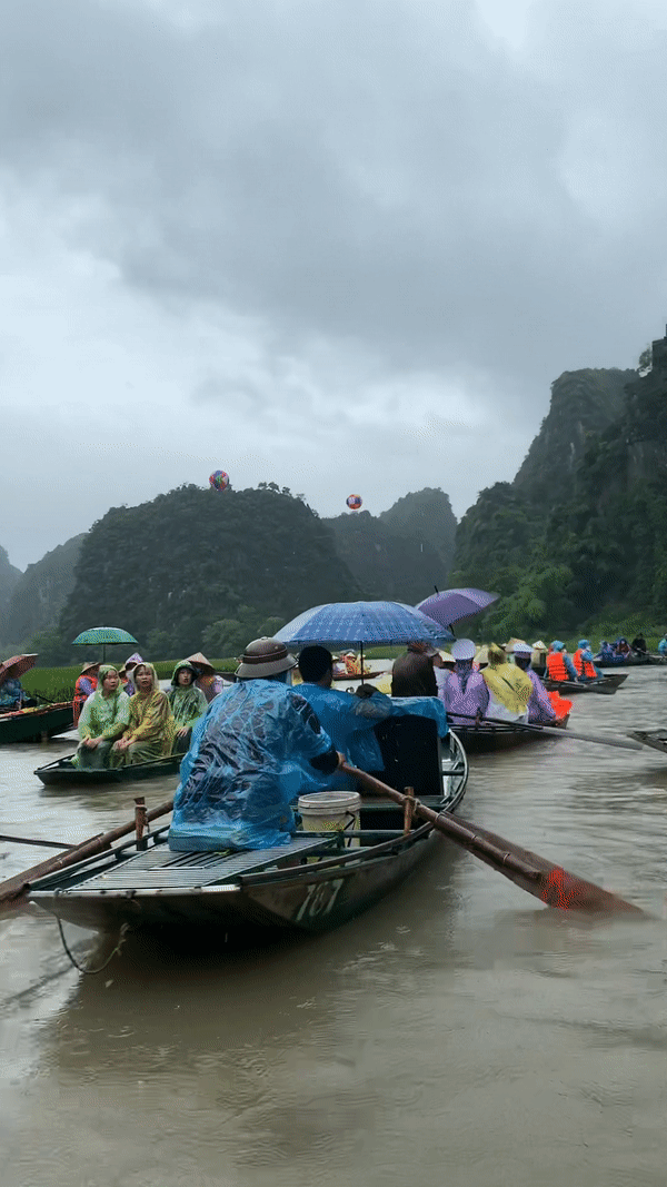 Đi Ninh Bình mùa mưa, du khách gặp cảnh tượng dở khóc dở cười nhưng cũng rất thú vị khi đi thuyền trên sông - Ảnh 5.