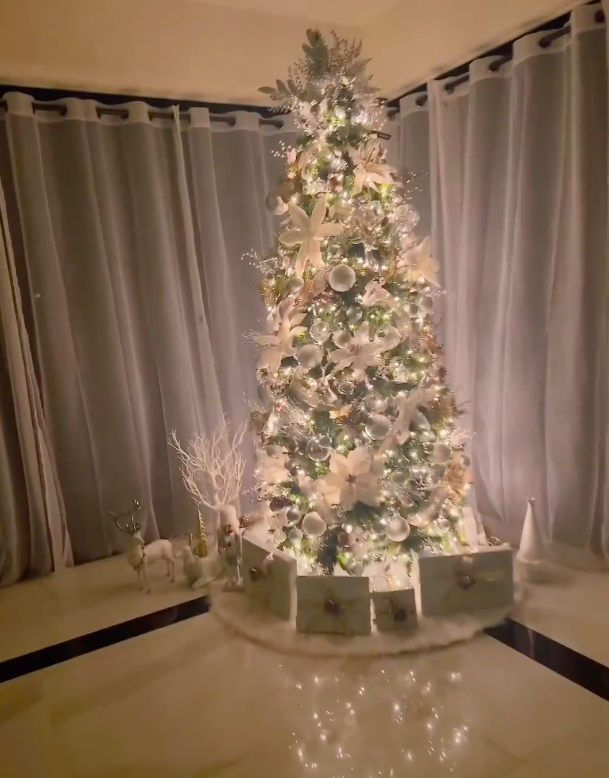Phạm Hương flex biệt thự l&ecirc;n đ&egrave;n đ&oacute;n Noel: B&agrave;y tr&iacute; 6 c&acirc;y th&ocirc;ng, nh&igrave;n to&agrave;n cảnh ph&ograve;ng kh&aacute;ch biết gi&agrave;u cỡ n&agrave;o - Ảnh 5.