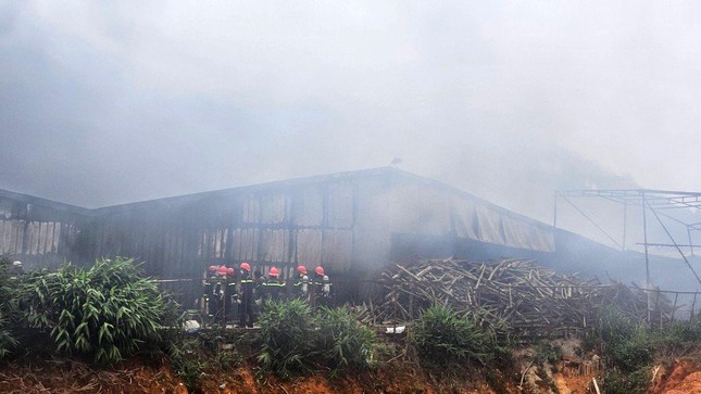 Cháy trang trại sản xuất nấm lớn nhất tỉnh Lâm Đồng - Ảnh 1.