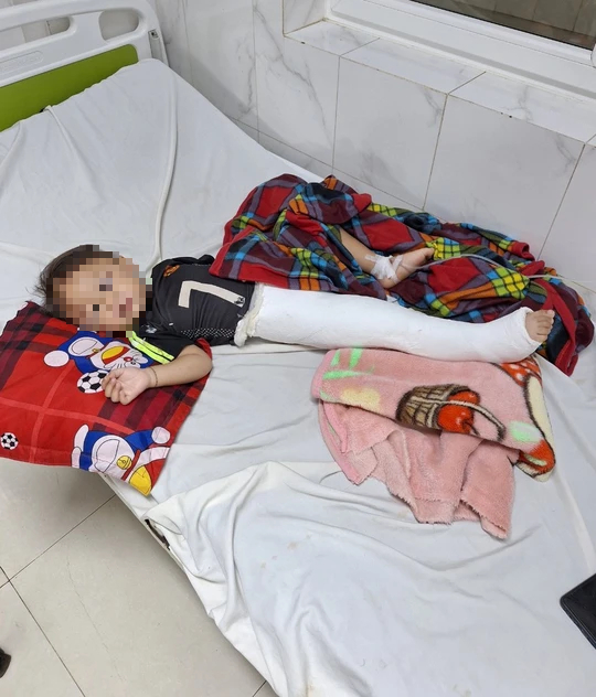 X&aacute;c minh th&ocirc;ng tin g&acirc;y tai nạn rồi vứt b&eacute; 2 tuổi v&agrave;o bụi rậm - Ảnh 1.