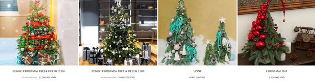 Mới cuối tháng 11 thị trường cây thông Noel đã nhộn nhịp, thông tươi nhập khẩu giá chỉ từ vài trăm nghìn đồng - Ảnh 6.