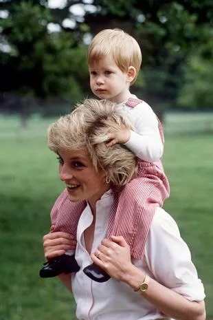 Sự thật đằng sau món quà sinh nhật cuối cùng của Harry mà cố Vương phi Diana chưa kịp tặng con trai thì gặp nạn - Ảnh 2.