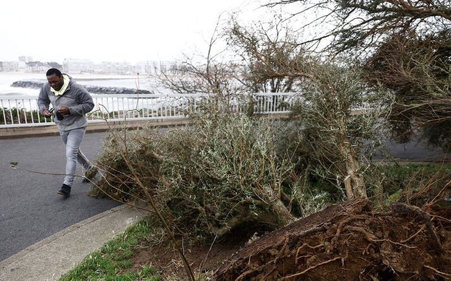 Bão Ciaran khiến ít nhất 4 người thiệt mạng, tàn phá châu Âu với gió mạnh và mưa lớn - Ảnh 1.