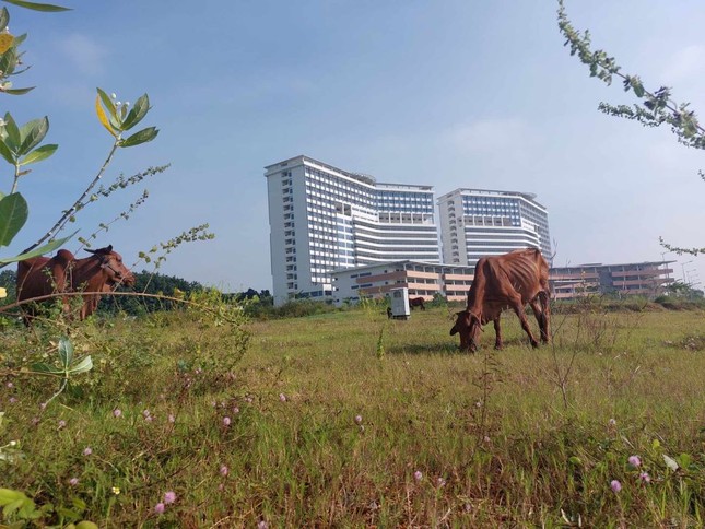 Cận cảnh bệnh viện ngh&igrave;n tỷ đồng sắp hoạt động th&igrave; tường bao đổ sập - Ảnh 2.