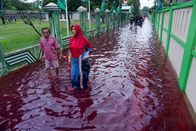 Bí ẩn về những cơn 'mưa máu' xuất hiện liên tục tại Ấn Độ