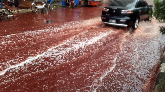 Bí ẩn 'mưa máu' xuất hiện liên tục ở Ấn Độ