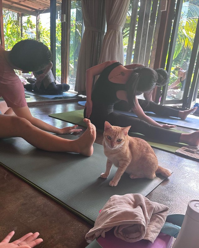Lee Hyori mở workshop Yoga tại Việt Nam, đón hàng chục fan và cả khách mời đặc biệt - Ảnh 6.