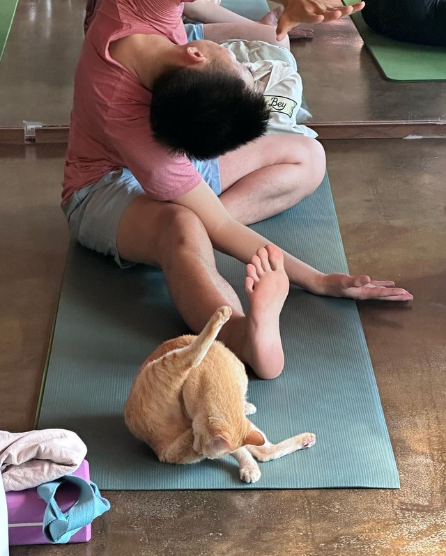 Lee Hyori mở workshop Yoga tại Việt Nam, đón hàng chục fan và cả khách mời đặc biệt - Ảnh 5.
