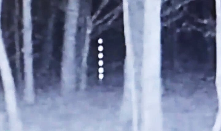 Những cột sáng thẳng đứng bí ẩn ẩn nấp trong khu rừng hoang dã