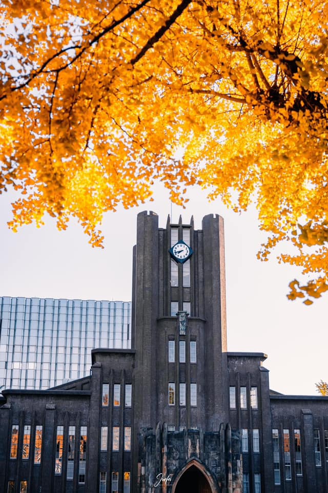 D&acirc;n t&igrave;nh rụng tim trước khung cảnh ĐH Tokyo m&ugrave;a l&aacute; rụng, như bước v&agrave;o thế giới thần ti&ecirc;n! - Ảnh 8.