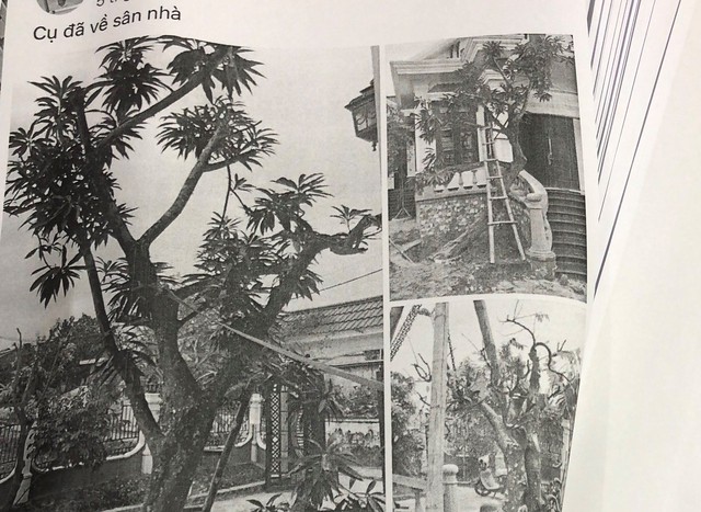 Đấu khẩu trên mạng xã hội, người đàn ông tại Đà Nẵng bị công an xử lý - Ảnh 2.