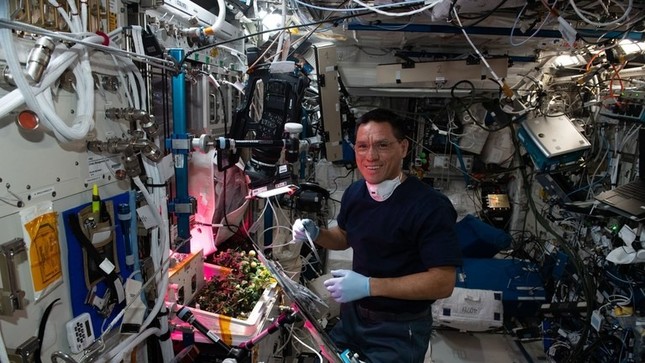 Tìm thấy quả cà chua 'mất tích' 8 tháng trên trạm vũ trụ ISS