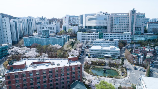 Ngôi trường minh tinh của Hàn Quốc: Một loạt ngôi sao đình đám chọn theo học, nhìn qua là biết lý do vì sao - Ảnh 1.