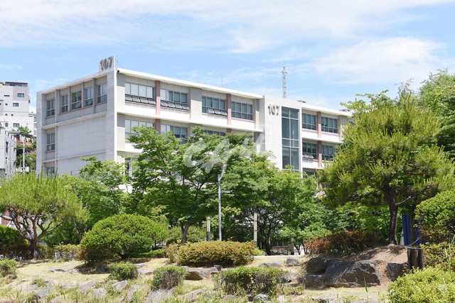 Ngôi trường minh tinh của Hàn Quốc: Một loạt ngôi sao đình đám chọn theo học, nhìn qua là biết lý do vì sao - Ảnh 5.