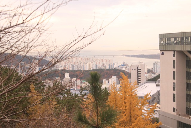 Đại học tư thục tốt nhất nhì Hàn Quốc: Ngôi trường trên núi đẹp như mơ, nhiều thành tích và không chỉ có thế! - Ảnh 6.