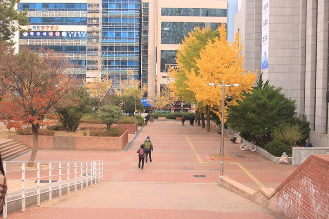Đại học tư thục tốt nhất nhì Hàn Quốc: Ngôi trường trên núi đẹp như mơ, nhiều thành tích và không chỉ có thế! - Ảnh 8.