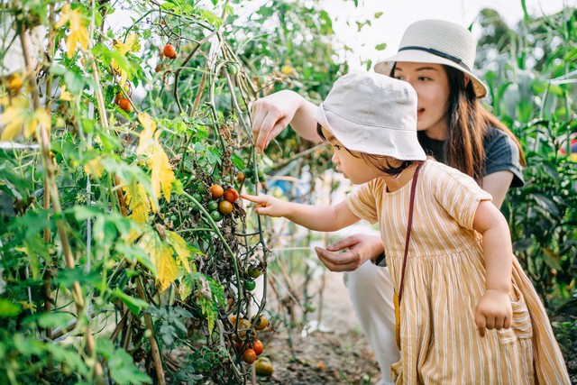 Tai hại luật đuổi rắn trong mỗi gia đình: Con cái lớn lên kém cỏi vì cha mẹ có 3 HÀNH VI - Ảnh 3.