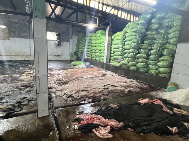 Kinh h&atilde;i 4 tấn da b&ograve; đang ph&acirc;n hủy, chuẩn bị tung ra thị trường - Ảnh 1.