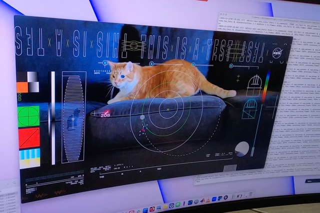 NASA tải xuống thành công đoạn video quay mèo từ khoảng cách 31 triệu km ngoài không gian - Ảnh 2.
