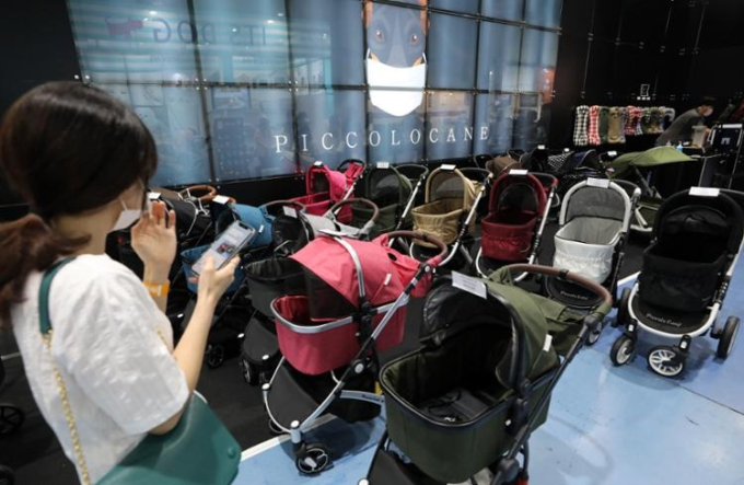 Hàn Quốc: Lần đầu tiên trong lịch sử, xe đẩy cho thú cưng bán chạy hơn xe đẩy em bé, hàng loạt dấu hiệu đáng báo động được thấy rõ
