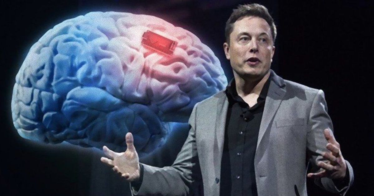 Elon Musk tuyên bố sẽ tự cấy chip não vào cơ thể mình