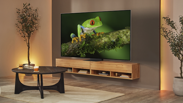 Qu&agrave; Tết &yacute; nghĩa cho gia đ&igrave;nh: n&acirc;ng cấp TV - Ảnh 3.