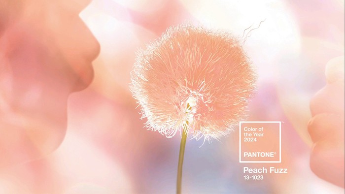 Pantone công bố màu của năm 2024: Đại diện cho lòng nhân ái, sự kết nối con người và sức khỏe tinh thần