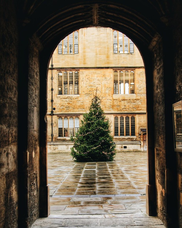 ĐH Oxford chơi lớn dựng cây thông Noel ngoài trời cho sinh viên sống ảo, tiệc Giáng sinh sang chảnh cũng rất là mê - Ảnh 9.