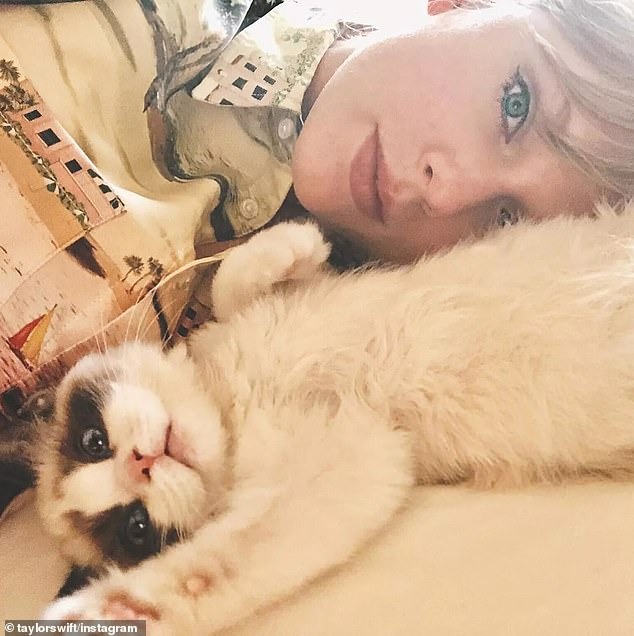 Mèo cưng mắt xanh quý hơn vàng của Taylor Swift mới xuất hiện sang trọng trên bìa tạp chí cùng chủ nhân, có giá trị ước tính 2.400 tỷ VNĐ - Ảnh 4.