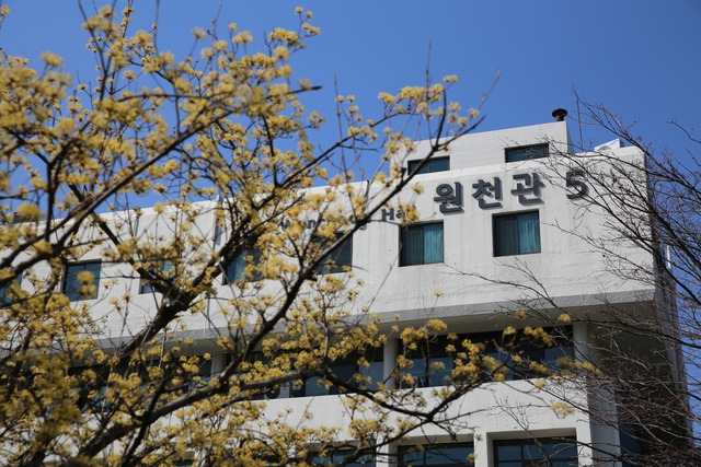 Ngôi trường thần tiên thuộc top 15 Hàn Quốc: Khuôn viên xinh như vườn thượng uyển, quá nhiều thứ để mê! - Ảnh 9.