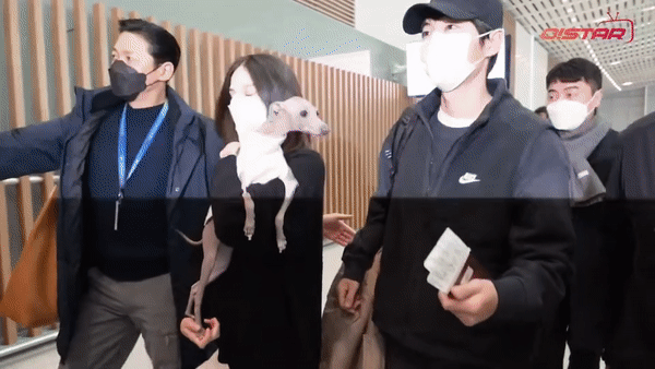 Song Joong Ki và vợ người Anh không rời nhau nửa bước tại sân bay: Cử chỉ dành cho bà xã gây sốt - Ảnh 5.