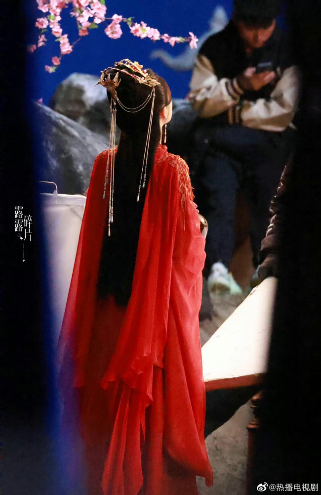 Thảm đỏ đêm hội Weibo: Angelababy - Triệu Lệ Dĩnh rủ nhau mặc đồ 'dừ',  nhưng Triệu Lộ Tư mới là thảm họa