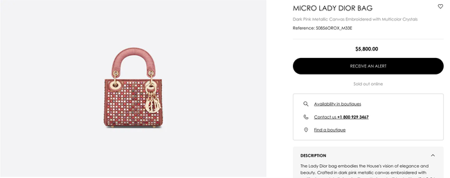 Shopping kiểu nhà giàu: Tiểu thư lâu đài trắng Chloe Nguyễn chốt đơn thần tốc chiếc túi 5800€ - Ảnh 6.