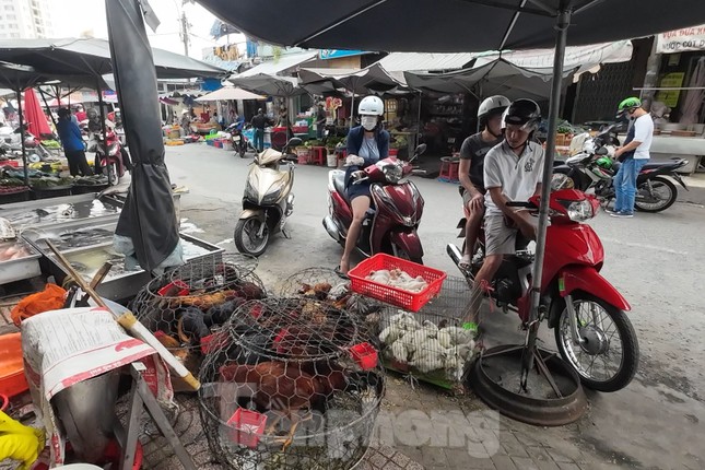 Vô tư mua bán gia cầm 3 không bất chấp dịch H5N1 đe dọa - Ảnh 5.